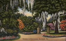 Savannah Georgia ~ Bonaventure entrance ~ Spanish moss ~ linen postcard sku825 picture