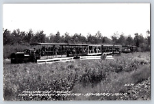 Toonerville Trolley Tahquamenon River Newberry Michigan RPPC Real Photo Postcard picture