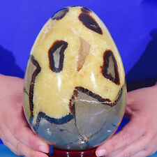 6.77LB Natural Dragon Septarian Egg shape Quartz Crystal Ball Healing Reiki Gif picture