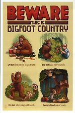 BEWARE, This is Bigfoot Country Lessons, Sasquatch, Yeti - Modern Funny Postcard picture