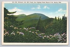 Mt Mitchell Highest Peak East of Rocky Mountains Linen Postcard No 6046 picture