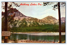 c1950's Blue Mountains Anthony Lakes Oregon OR Vintage Unposted Postcard picture