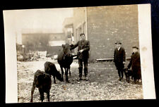 1908 RPPC postcard Dresden Ohio young man with cow children watching picture