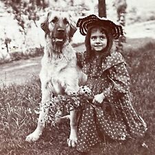 Antique 1894 Girl With Golden Retriever Mix Dog  Stereoview Photo Card P3365 picture