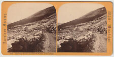HALF-WAY HOUSE - SILVER FOREST - HORSE / WAGON - MT WASHINGTON - WHITE MOUNTAINS picture