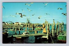 Wakefield RI-Rhode Island, Feeding The Seagulls At Jerusalem, Vintage Postcard picture
