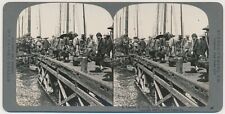 CHINA SV - Hong Kong - Coolies - Stereo Travel Co c1910 picture