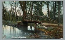Middlesex Falls Scenic Log Walking Bridge, Massachusetts Postcard Posted 1906 picture