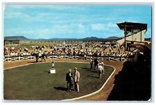 c1950's La Mesa Park Horse Racing Crowd Grandstand Raton New Mexico NM Postcard picture