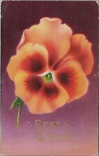 Best Wishes Posted Flowers Pink Violet Divided Back Vintage Post Card picture