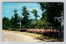 Columbus GA-Georgia, Ida Cason Callaway Gardens, Vintage Postcard picture