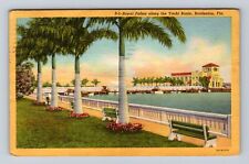 Bradenton FL-Florida, Royal Palms along Yacht Basin, Vintage Souvenir Postcard picture