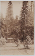 CALIFORNIA MENDOCINO CO LANES REDWOOD FLAT COTTAGE PATTERSON PHOTO CIRCA 1930 picture