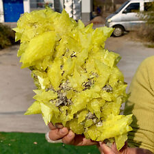 5.22LB  Mineral * * Sicily Matrix Yellow Single Sulfur - Free picture