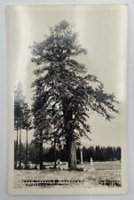 Postcard CA Peter Lassen's Monument JH Eastman Susanville California RPPC picture