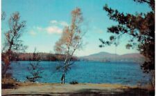 Lower Saranac Lake From Algonquin Shore 1960 NY  picture