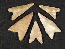 Lot of FIVE Nice Ancient Tidikelt Arrowheads 3.88 picture
