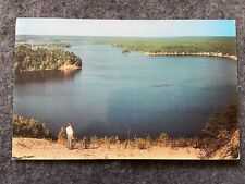 Au Sable near Lumberman's Monument in Huron National Forest, Michigan Postcard picture