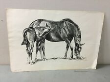 Vintage print Copyright 1968 Colin Advertising, Horses picture