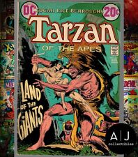 Tarzan #211 VG 4.0 DC Comics Bronze Age 1972 picture