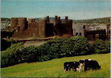 Postcard Castell Gwynedd View From The South [am] picture