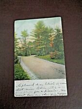 Vintage Color Postcard Pine Banks Park Melrose, Mass.  picture