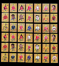 Topps UEFA EURO 2024 Sticker - Star Player / Star Player Signature picture