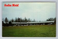 Louisville KY-Kentucky, Avalon Motel, Advertising, Antique Vintage Postcard picture