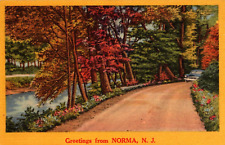 Norma New Jersey Postcard Greetings From Norma Linen Unused 1940s SX picture