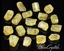 1 YELLOW APATITE Rough Crystal 5 - 6 gm, Medium Size (25-30 Carat) Mineral #JN05 picture