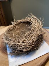 Real-life Bird Robin's Nest made from natural grasses and mud. picture