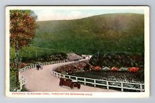 Berkshire Hills MA-Massachusetts, Mohawk Trail, Horse Carriage, Vintage Postcard picture