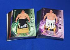2024Bbm Sumo Card Hibiki 81 Types Complete Set picture
