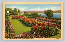 Linen Postcard Sunken Gardens Front Street Harrisburg Pennsylvania picture