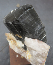 BLACK TOURMALINE  CRYSTAL  - Consolidated Quarry - Georgetown, Maine picture