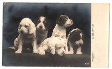 RPPC 1909 A Sleepy Lot Rotograph Series B411 Puppies The Rotograph Company NY picture