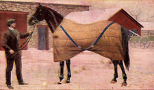 1912 5A BUSTER BURLAP HORSE BLANKETS ADVERTISING POSTCARD 46-166 picture