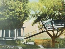 C 1910 The Willow Castle Treehouse Orange MA Antique DB Postcard picture