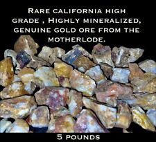 5 Lb HIGH GRADE HIGHLY MINERALIZED GOLD ORE W/VISIBLE GOLD FROM THE MOTHERLODE picture