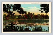 Indian Lake OH-Ohio, Scenic Beautiful Spot, Antique, Vintage c1945 Postcard picture