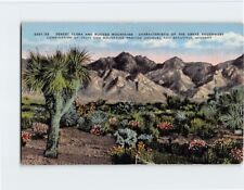 Postcard Desert Flora and Rugged Mountains Landscape Scene picture