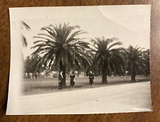 1939 New Orleans Louisiana LA Palm Trees Near Sugar Bowl College Football Photo picture