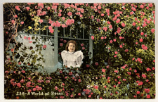 A World of Roses, Girl in a Window, Pink Flowers, Vintage Postcard picture
