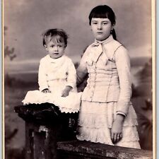 c1880s Mahanoy City, PA Young Mother & Child? Cabinet Card Photo Bowman B15 picture