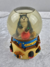 S.F. Music Box Co Snow Globe You're Late 2nd of 9 Lives Angus & Friends #0331/1k picture