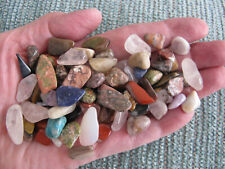 NEW NATURAL ASSORTED SMALL 1/2