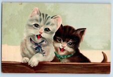 Germany Postcard Cute Cat Kittens With Bow Animals Embossed c1910's Antique picture