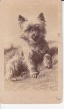 EXTREMELY RARE ANTIQUE 1856 ORIGINAL GERMANY DOG CDV PHOTO NO.1 picture