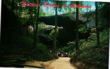 Vintage Postcard- Natural Bridge of Alabama, Winston County, AL 1960s picture