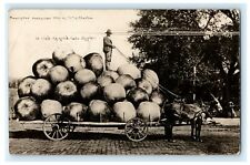 1909 Exaggeration Apple Cart Kansas City Missouri MO Posted Postcard picture
